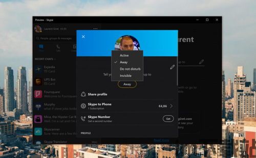skype什么情况下显示非活动,Skype非活动状态显示原因解析(图3) skype什么情况下显示非活动,Skype非活动状态显示原因解析(图3)