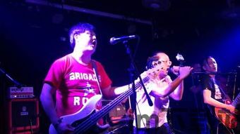 朋克音乐,叛逆之声的崛起与影响(图2) 朋克音乐,叛逆之声的崛起与影响(图2)