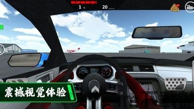 开车的小偷 (图2) 开车的小偷 (图2)