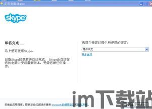 Skype的使用率,沟通新时代的见证者(图1)