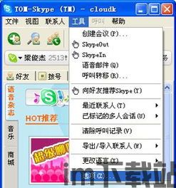 skype没有声音怎么解决,Skype无声音问题解决攻略(图2) skype没有声音怎么解决,Skype无声音问题解决攻略(图2)
