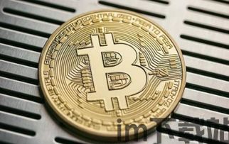 二舅币和比特币的区别,解码数字货币差异(图1) 二舅币和比特币的区别,解码数字货币差异(图1)