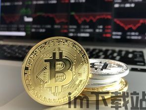 二舅币和比特币的区别,解码数字货币差异(图3) 二舅币和比特币的区别,解码数字货币差异(图3)
