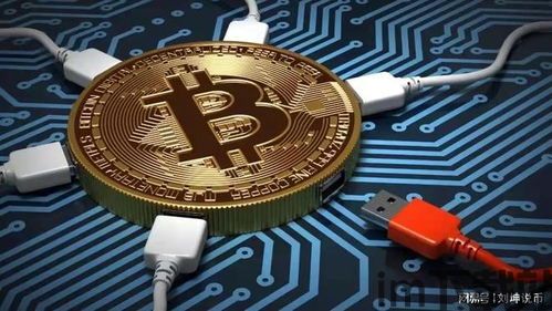 比特币 比特种子,揭秘数字货币的起源与未来(图1)