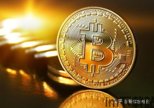 比特币 比特种子,揭秘数字货币的起源与未来(图3)