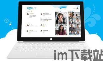 skype美金项目,揭秘全球通讯新趋势(图2) skype美金项目,揭秘全球通讯新趋势(图2)