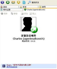 skype号码是电话号码吗,电话号码还是独特标识？(图3)
