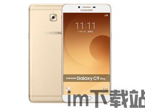 大型斜坡汽车特技 (图3) 大型斜坡汽车特技 (图3)