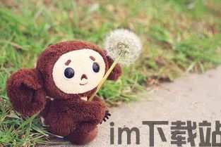 憨憨牛多少钱,多少钱能带回家?(图2) 憨憨牛多少钱,多少钱能带回家?(图2)