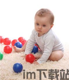 孤独的鸟儿游戏官方版2024下载安装v2.4 (图1) 孤独的鸟儿游戏官方版2024下载安装v2.4 (图1)