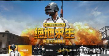 绝地求生未来之役手游下载 (图2) 绝地求生未来之役手游下载 (图2)