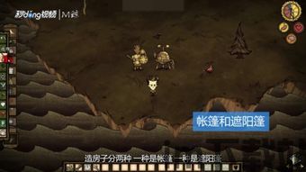 恐怖房子恐怖房子 (图2)