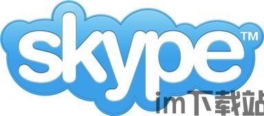 skype并购,Skype并购背后的战略布局与行业影响解析(图3)