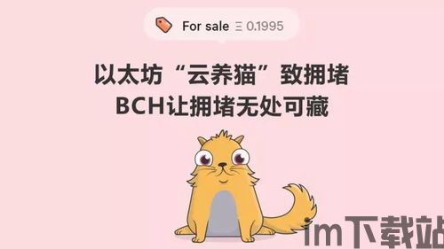 中国怎么以太坊云养猫,虚拟宠物经济的创新实践(图1) 中国怎么以太坊云养猫,虚拟宠物经济的创新实践(图1)