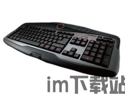 虚拟游戏键盘汉化版 (图2) 虚拟游戏键盘汉化版 (图2)