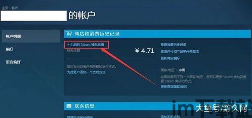 steam充值卡比特币,轻松实现虚拟货币交易(图3) steam充值卡比特币,轻松实现虚拟货币交易(图3)