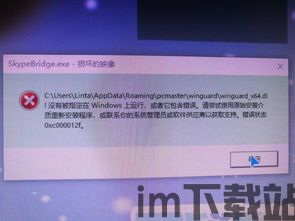 skype出现错误代码,揭秘常见故障与解决方法(图2) skype出现错误代码,揭秘常见故障与解决方法(图2)
