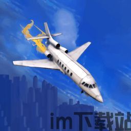 飞机电脑办如果变成中文,飞机电脑系统故障应急处理概述(图2)