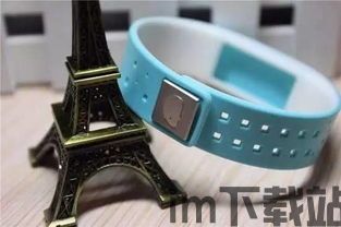 小米手环 (图3) 小米手环 (图3)