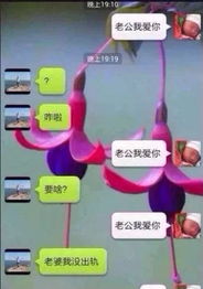 找到老公的私房钱2 (图3) 找到老公的私房钱2 (图3)