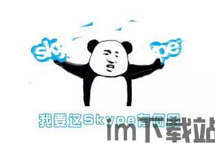 skype不能卸载完全,无法彻底卸载的困扰解析(图2)