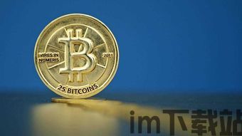 早期比特币价格是多少,揭秘早期价格之谜(图1)