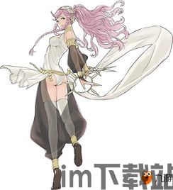 火焰纹章无双 美版 dlc,解锁全新冒险篇章！(图2)