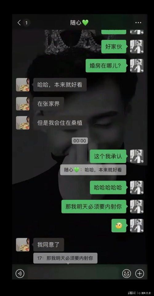 skype前一天的聊天记录,共话未来(图1) skype前一天的聊天记录,共话未来(图1)