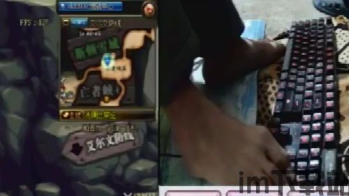 笨手笨脚的猫 (图3)