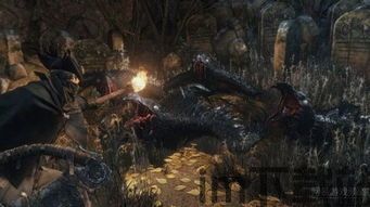 我的女神是仆从冷狐版游戏直装 (图1)