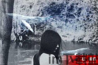 极乐视频免费观看视频 (图1)