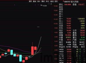 区块链龙头股票,揭秘龙头股票的崛起之路(图3)