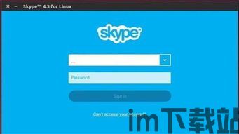 Skype第三方版本,功能拓展与个性化体验(图2)