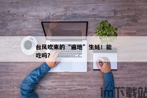 token查询usdt钱包交易,揭秘通过Token查询的交易详情(图1) token查询usdt钱包交易,揭秘通过Token查询的交易详情(图1)