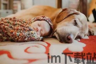搜狗游戏盒子 (图3) 搜狗游戏盒子 (图3)