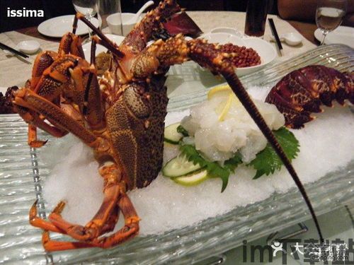 宝来电 (图2) 宝来电 (图2)