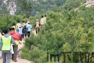 17369妖气山游戏交易服务平台 (图2) 17369妖气山游戏交易服务平台 (图2)