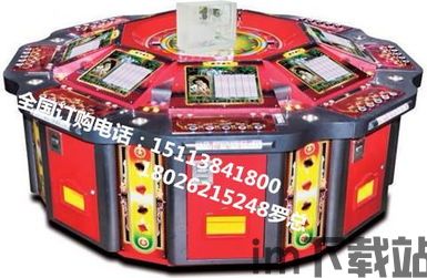 傲雪红梅 (图1)