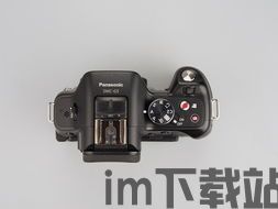 绿色兵团单机游戏下载 (图1)