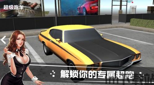 长途驾驶汽车模拟器 (图3) 长途驾驶汽车模拟器 (图3)