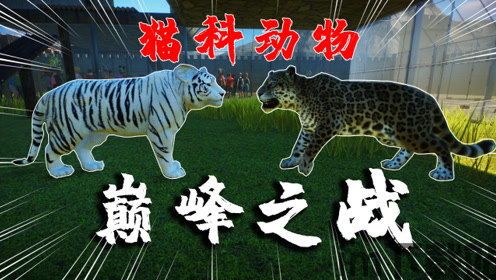 泡泡大作战游戏手机游戏 (图2)
