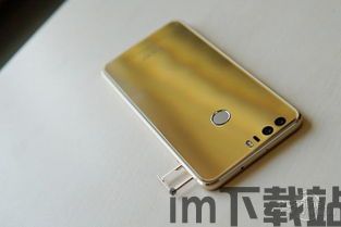 神脑洞游戏测试服 (图2)