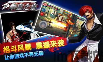 格斗拳王英雄 (图1)