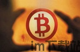 金融危机比特币诞生,数字货币的崛起与挑战(图1) 金融危机比特币诞生,数字货币的崛起与挑战(图1)