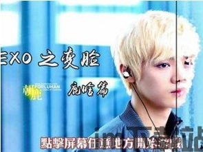 鹿晗明星主题 (图1)