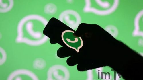 中国人用whatsapp犯法吗,中国使用WhatsApp的法律风险与合规指南(图3) 中国人用whatsapp犯法吗,中国使用WhatsApp的法律风险与合规指南(图3)