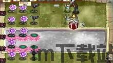 蚂蚁时代虫子战争 (图3) 蚂蚁时代虫子战争 (图3)