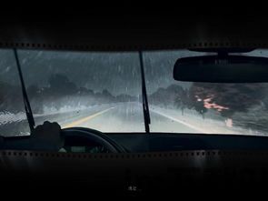 宠物搭车 (图1) 宠物搭车 (图1)