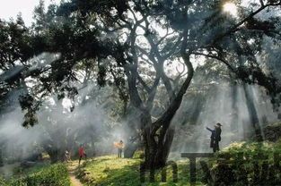 泡泡大作战游戏手机游戏 (图1) 泡泡大作战游戏手机游戏 (图1)