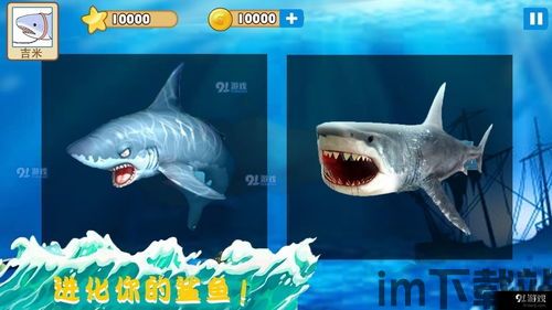 大白鲨加速器 (图2)